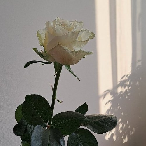 Наталья, 13 сентября 2025