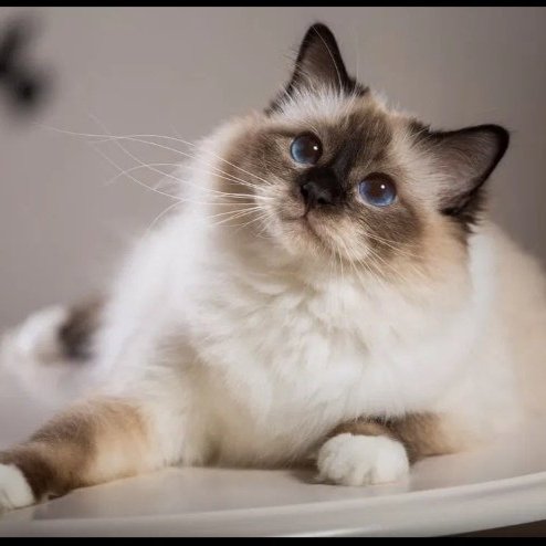 Т, 13 декабря 2024