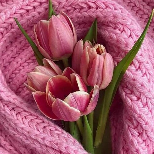 Ольга, 30 октября 2025