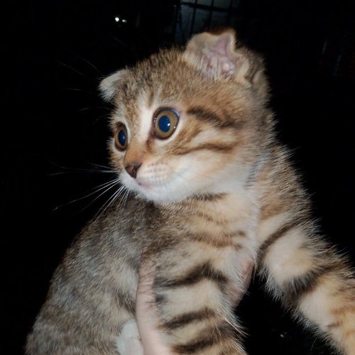 Алена, 18 октября 2025