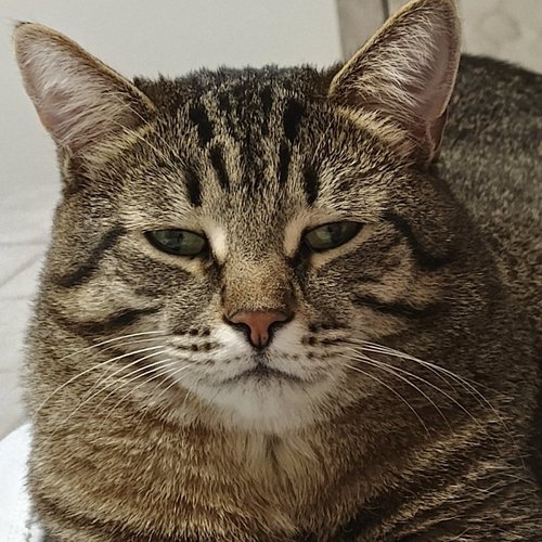 Альбина, 1 февраля 2026